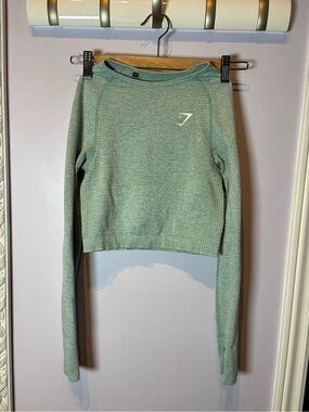 Gymshark Sage Green Seamless Long Sleeve Crop Top
